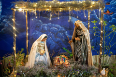 605256002_877562451459097_1205367590500340185_n